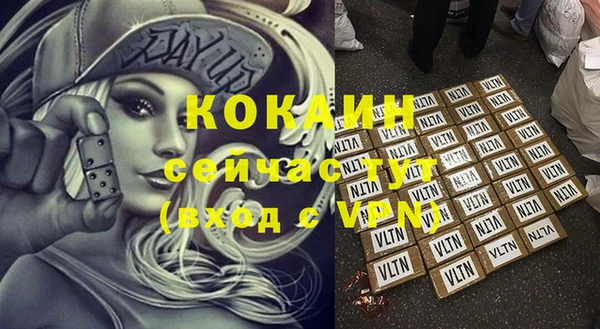 стафф Новозыбков