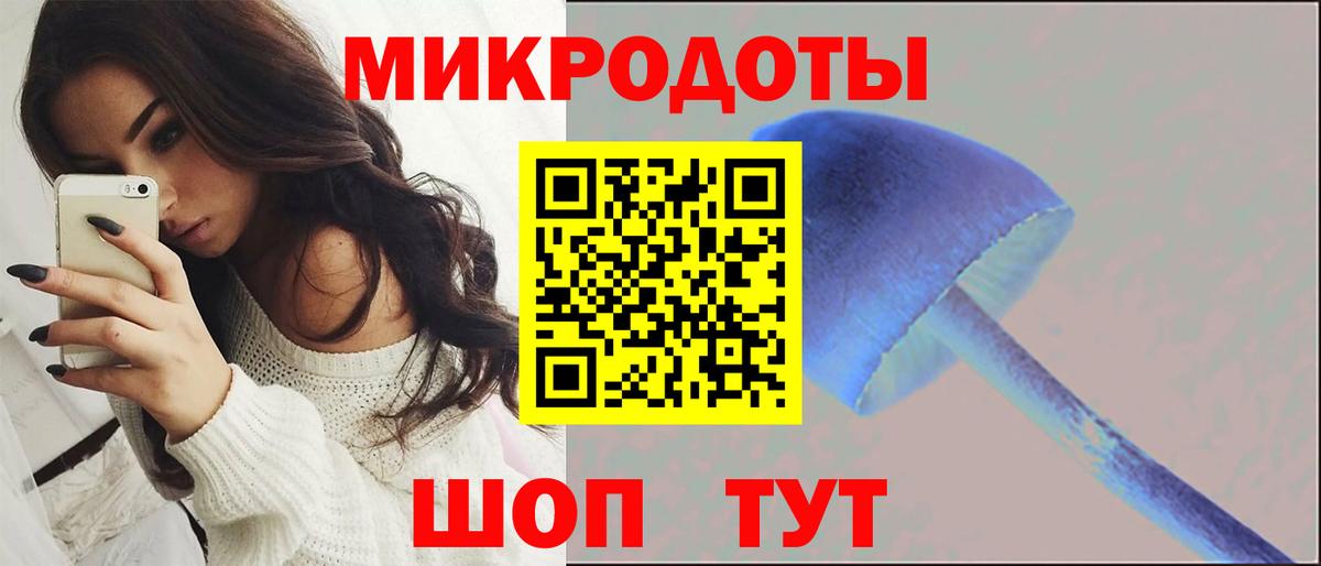 Махачкала  Галлюциногенные грибы Psilocybe  где можно купить   Вход с VPN 